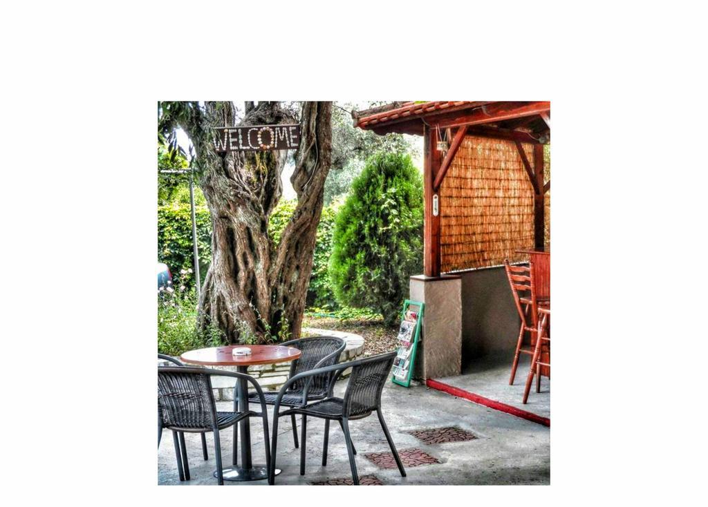 Aparthotel Aneton à Chrysi Ammoudia Extérieur photo